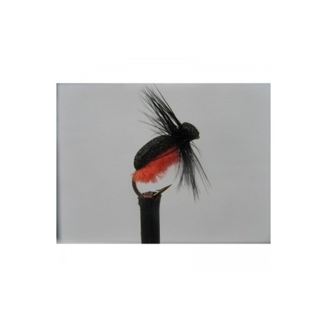 Dries Pure firebelly foam beetle $2.34