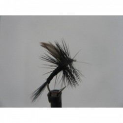 Dries Pure black gnat dry $2.34