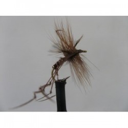 Dries Pure claret daddy $2.34