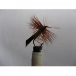 Dries Pure tape wing caddis brown sedge $2.34