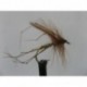 Dries Pure standard daddy $2.34