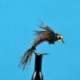 Beaded Nymphs Bead Head Pheasant Tail Hot Wired $2.42