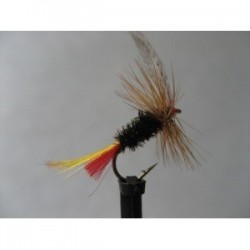 Dries Pure sweet william dry $2.34