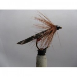 Dries Pure green peter red butt sedge $2.34