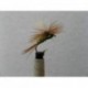 Dries Pure light olive para dry $2.34