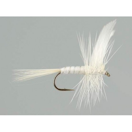 Dries Pure white miller $2.34