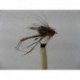 Dries Pure cdc detached drowning $2.34