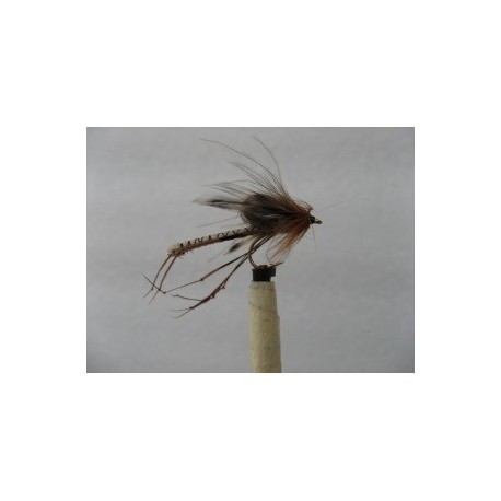 Dries Pure cdc detached drowning $2.34