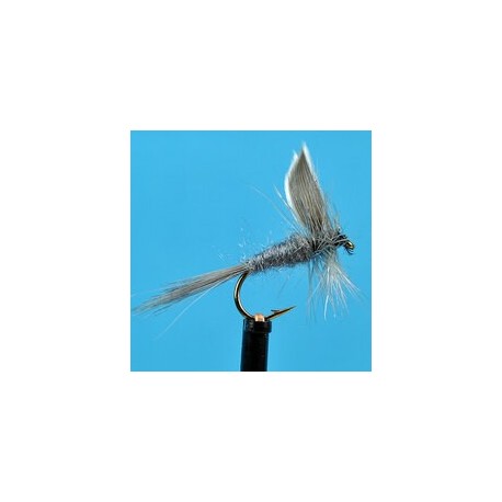 Dries Pure Blue Dun $2.34