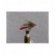 Dries Pure gold body red tag muddler $2.34