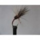 Dries Pure ians zero wyatts $2.34