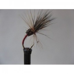 Dries Pure ians zero wyatts $2.34