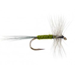 Dries Pure light green classic $2.34