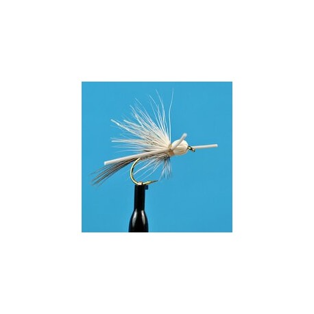 Dries Pure X Hex $2.34