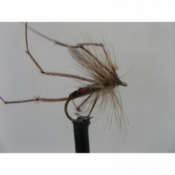 Dries Pure bibio daddy $2.34