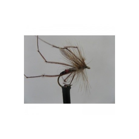 Dries Pure bibio daddy $2.34