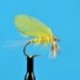 Dries Pure Burnt Wing Yellow Drake $2.34