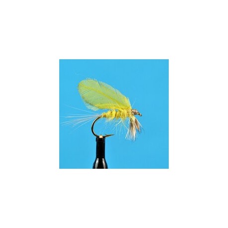 Dries Pure Burnt Wing Yellow Drake $2.34