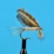 Dries Pure Burnt Wing Light Cahill $2.34