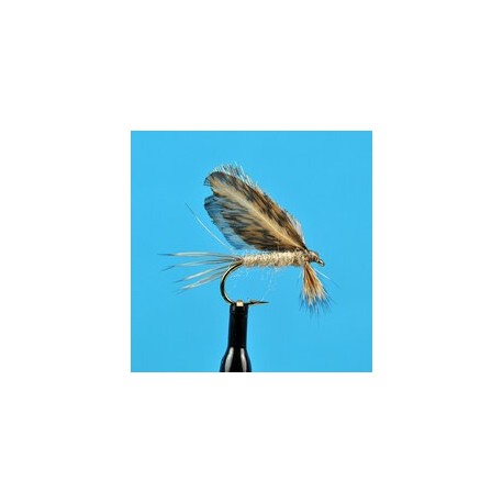 Dries Pure Burnt Wing Light Cahill $2.34