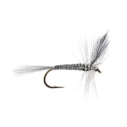 Dries Pure black quill $2.34