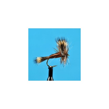 Dries Pure Brown Wulff $2.34