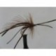 Dries Pure x factor daddy $2.34