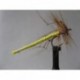 Dries Pure ians detached yellow daddy $2.34