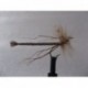 Dries Pure extended body daddy $2.34