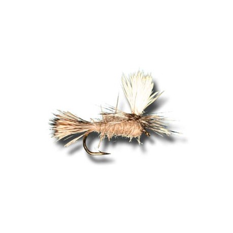 Dries Pure Parachute Hares Ear $2.34