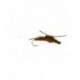 Dries Pure floating stonefly brown $2.34