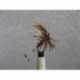 Dries Pure hardies favourite dry $2.34