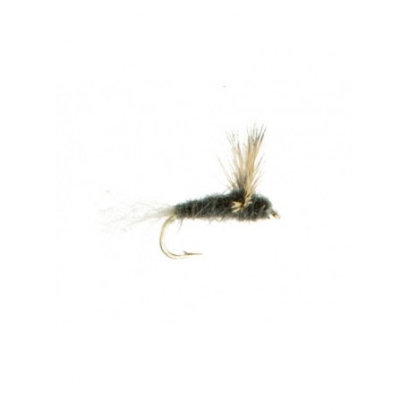 Dries Pure sparkle dun adams $2.34