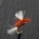 Dries Pure fiery brown shipmans para dry $2.34