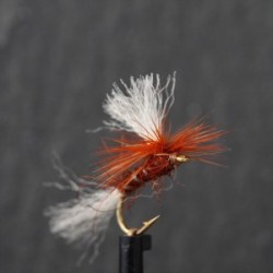 Dries Pure fiery brown shipmans para dry $2.34