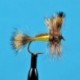 Dries Pure Yellow Humpy $2.34