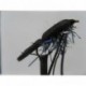 Dries Pure uv black floating fry $2.34