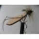 Dries Pure foam big boy daddy $2.34