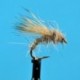 Dries Pure Hares Ear Dry $2.34