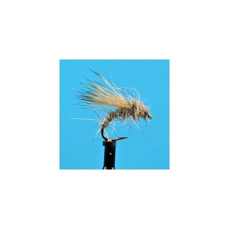 Dries Pure Hares Ear Dry $2.34