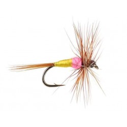 Dries Pure tups indispensable $2.34
