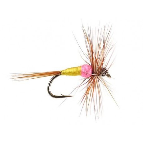 Dries Pure tups indispensable $2.34