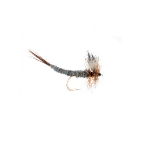 Dries Pure adams extended body $2.34