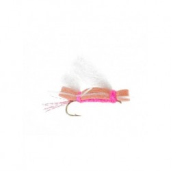 Dries Pure chubby chernobyl peachy king $2.34