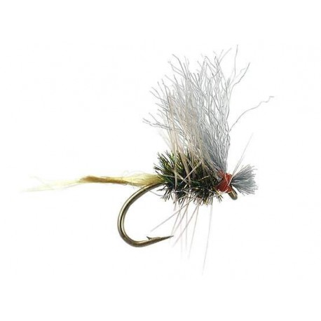 Dries Pure furimsky bde olive $2.34