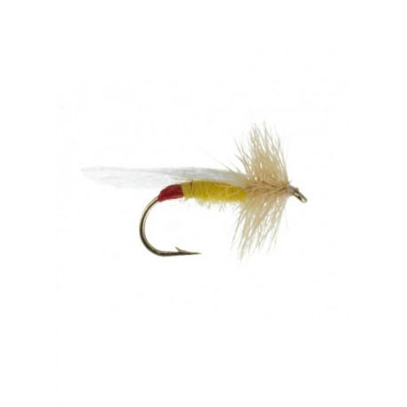 Dries Pure yellow sally red tag $2.34