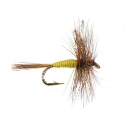 Dries Pure adams yellow $2.34