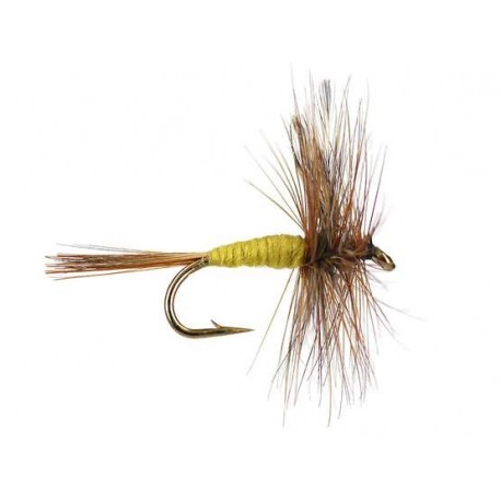 Dries Pure adams yellow $2.34