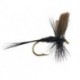 Dries Pure black gnat $2.34