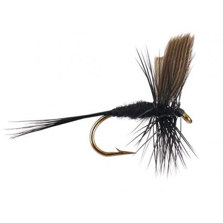 Dries Pure black gnat $2.34